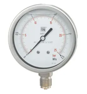 TRYCKMÄTARE MGS18/3A G10 100 MM 0-25 BAR/MPA UTVÄNDIG GÄNGA, NEDÅT, FYLLD
