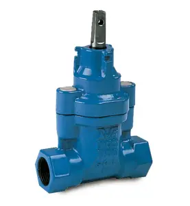 SERVISVENTTIL INVÄNDIG GÄNGA 25 MM AVK