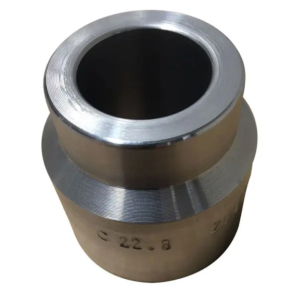 D100001001117605-BDXWBFNBNpfFCaOdtwtpx