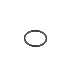 O-RING 20,0X2,0 2-PACK FMM