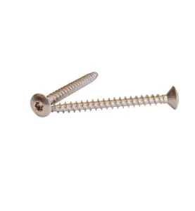 VVS-SKRUV TORX TKFT A2 5.5X40 RETHERM KRUGE