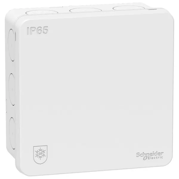 D100001001171567-AYFf-OGdIi1j2EZCl4DqO