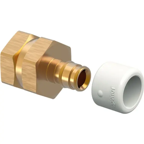 D100001001174078-Ds6NHQ1pWavpkeCKz-8b6