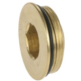 PLUGG MED O-RING FÖRKROMAD 22X1 FMM