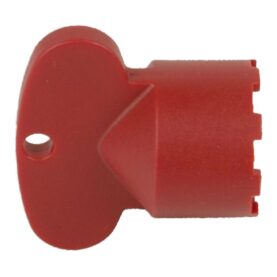 NYCKEL TILL STRÅLSAMLARE MORA