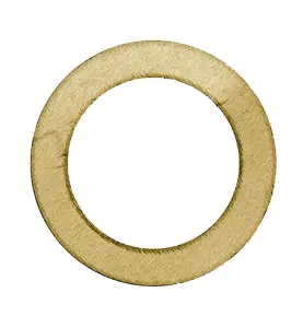 LEGIONELLA-BRICKA 26,0X1,0 MMA