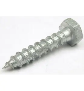 FRANSK TRÄSKRUV 10X100 FZV