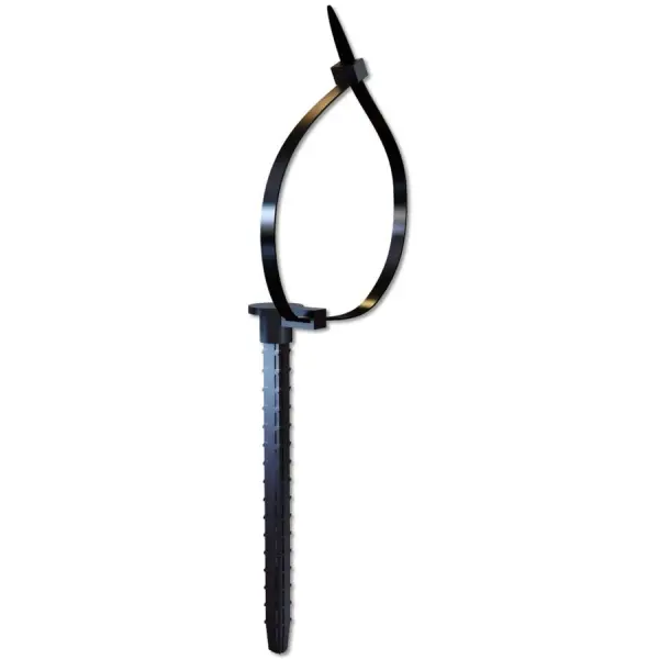 D10000100195016-Bj8_j16kCgGVRJ_TZNx0y