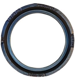 D100001252929-ZcnJl8vP7o6miMB8ZWoqz