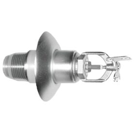 D1000012563254-Wu7jnE0ws2-IDW_LRFjwp