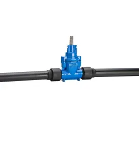SERVISVENTIL DUPLEX DN25/32 PN16 AVK