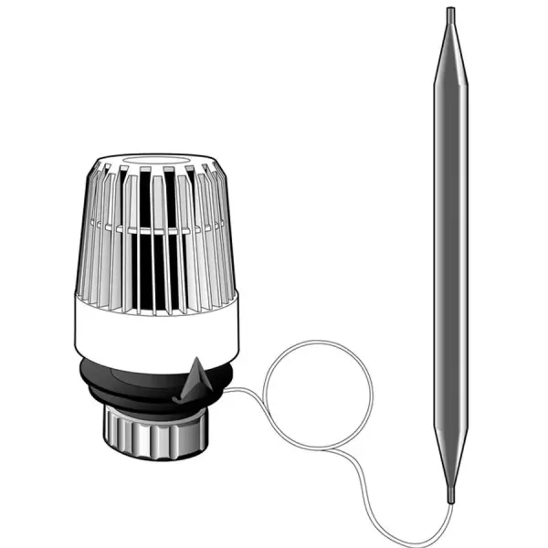 D1000012640241-NrwR0Mf8ko4ELeMysLhhV