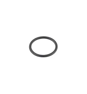 O-RING 15,1 X 1,6 EPDM 2-P MORA