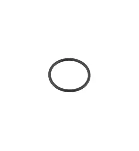 O-RING 19,1 X 1,6 EPDM 2-P MORA