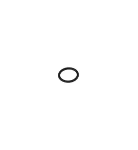 O-RING 16,3X2,4 2P FMM