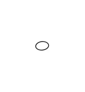 O-RING 22,0X1,8 2P FMM