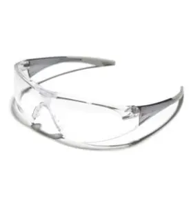 SKYDDSGLASÖGON 31 HC/AF KLAR ZEKLER