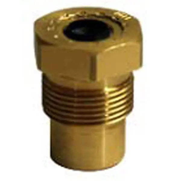 D100001265288-Wg5lLAYFkqH7wl1-tLuA