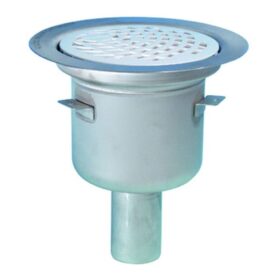 GOLVBRUNN BALDER 50P PURUS