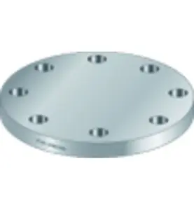 BLINDFLÄNS 250 PN16 EN1092/05A S235