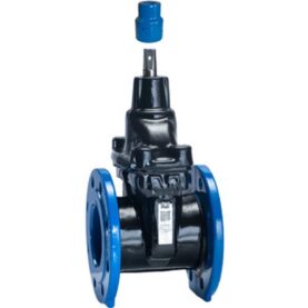 SLUSSVENTIL DN080 PN10/16 F4 PUR AVK