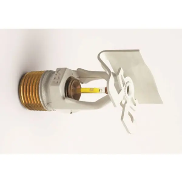 D100001280348-G5UQEsU3IUGLTE-1-S-Jy