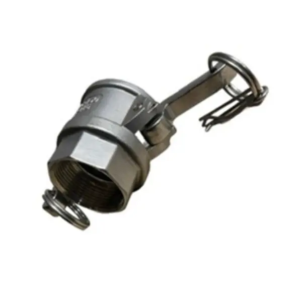 D1000012807232-Zp3XFcaeugyUpBN1nFKnv