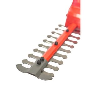 D1000012837217-c-ucA12BjjZ-wm05iUDl1