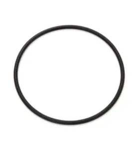 O-RING TILL 20" PATRONHUS DEBE