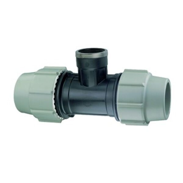 D10000100193944-qm2DW_X2jKsKecXtCAS8z