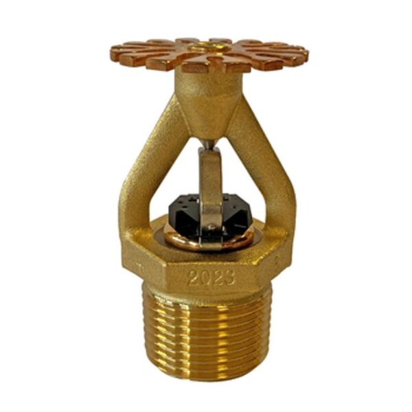 D100001274987-rJy8J2LM8rjtJWFwQ8CRC