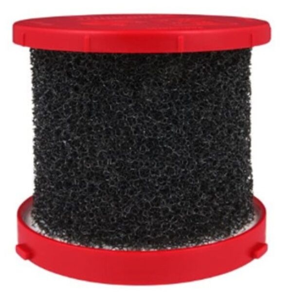 D1000012863216-wyFfp0hvBJm2hPiaWV2u