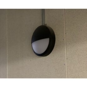 D1000012865168-lCDlTrZOQeQPOQ2lXHk3y