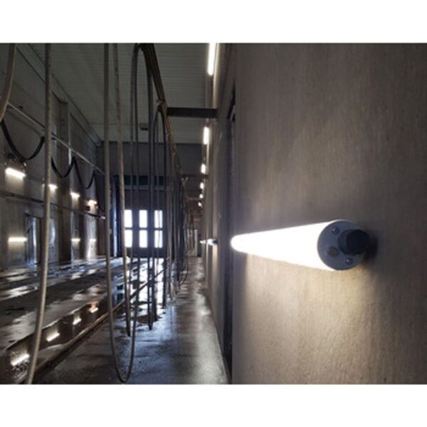 D1000012865176-jM50Q2vG_zw4UAUtgefB4