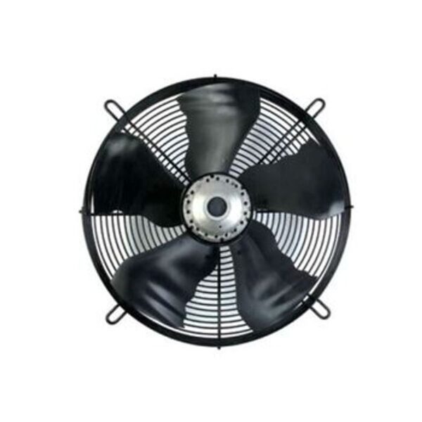 D1000012865232-ZslJ8_KbfPBtgeRTn6tLP