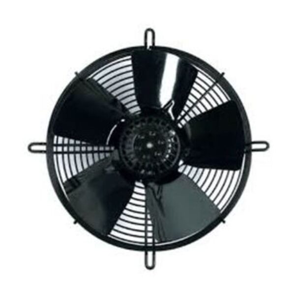 D1000012865236-SCBnblg89eS1dOCYoGl2e