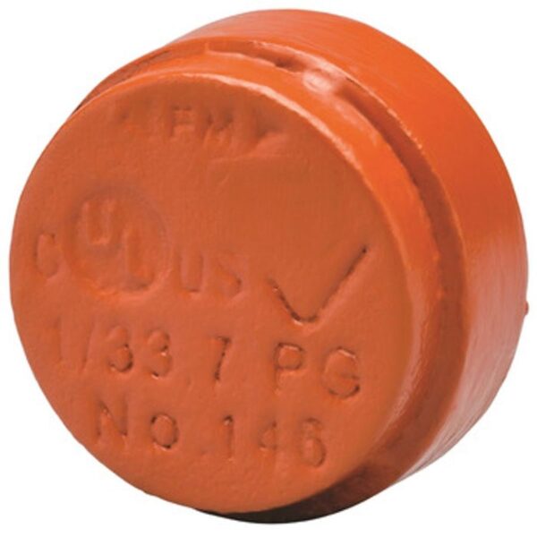 D100001286642-2TF0fRQ7J21BliqGfBnjw