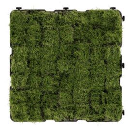 D100001286716-1r0n46ouVEzGF8_Asy7Pf