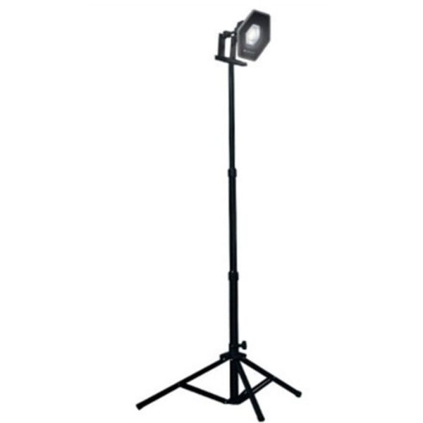 D100001287482-ZTl9GbkgH3F78P8b_M0nB