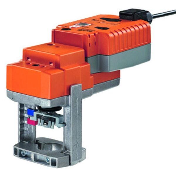 D100001287648-jUi8S-r5dtq6OtpeSfZM1