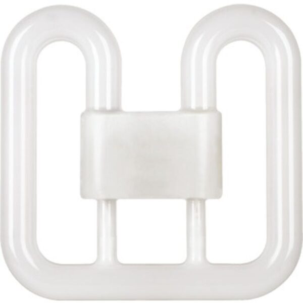 D1000012877221-c_8Epa-C361C7olccnpal