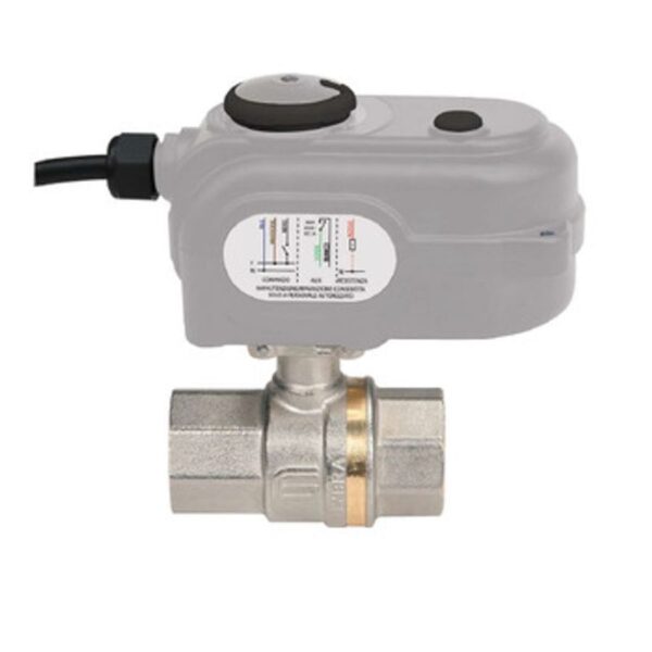 D1000012879383-ZTRVOeU3Bq1VGCG6mKgKR