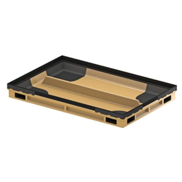 D100001288582-NLYUyxV6m7mu8WQQkaPMm